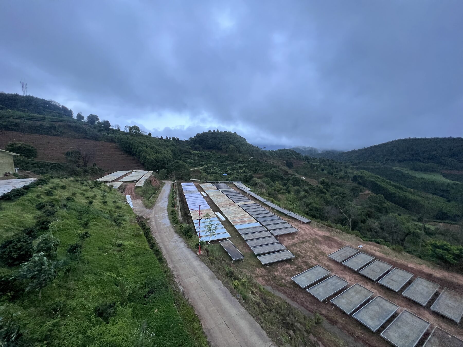 Coffee drying beds in Pu'er