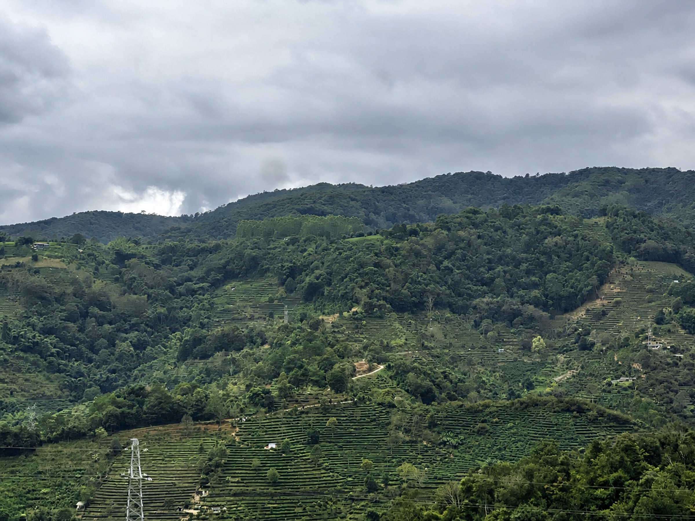 Mountain landscape and terraced coffee fields in Pu'er, Yunnan